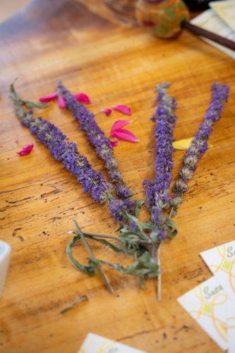 W.Ebner-DIMMesse-137